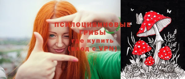 индика Алексеевка